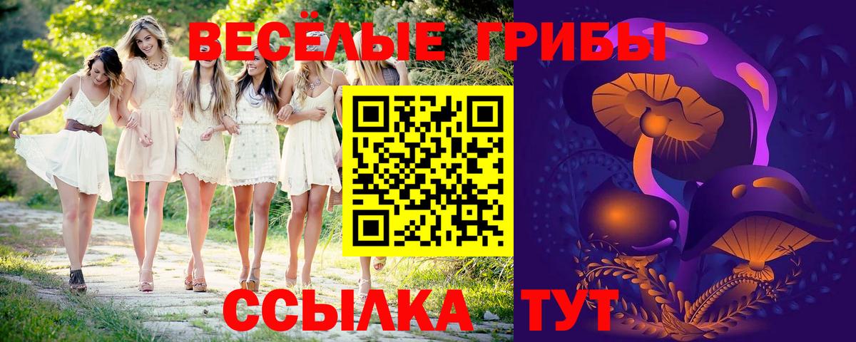 Ростов-на-Дону  Псилоцибиновые грибы прущие грибы  Вход с VPN 