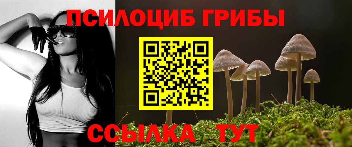 Псилоцибиновые грибы Magic Shrooms Ростов-на-Дону